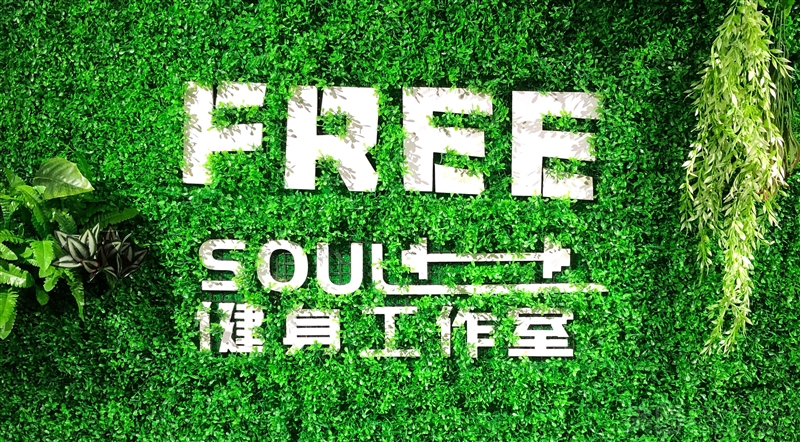 FREE SOUL健身工的图标