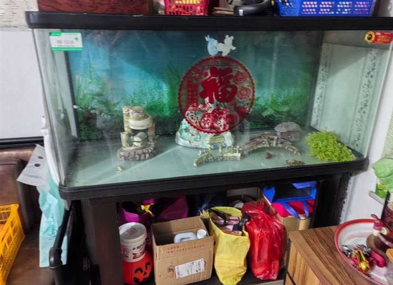 鱼缸处理